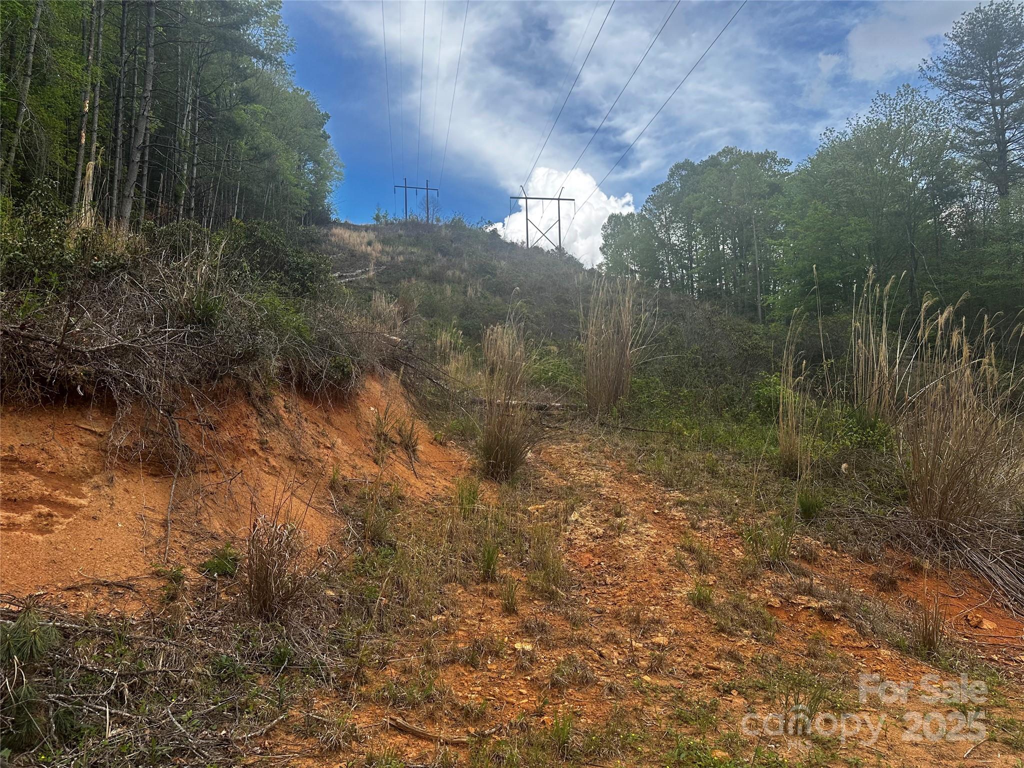 00 Mcpeters Lane Burnsville NC 28714