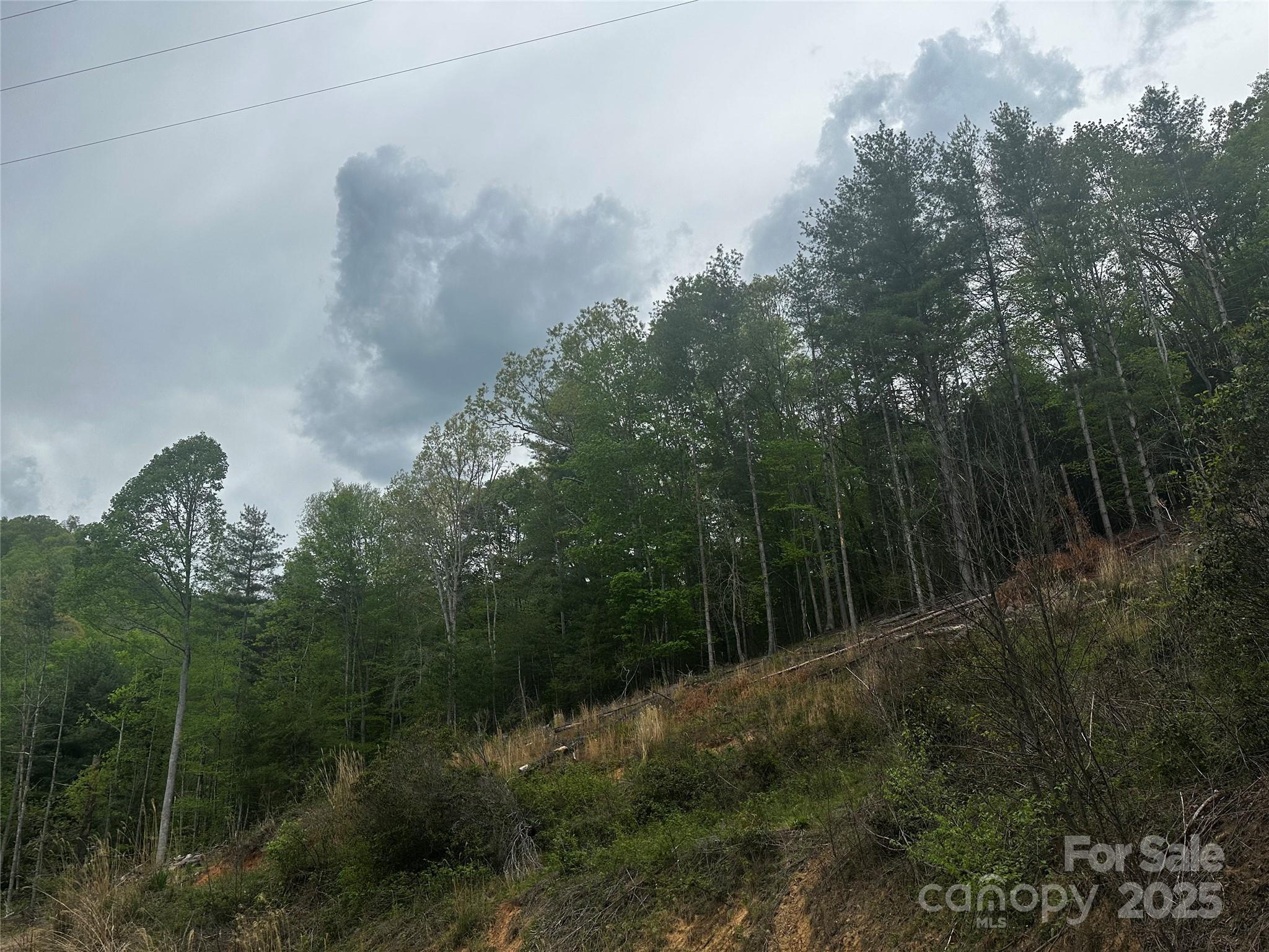 00 Mcpeters Lane Burnsville NC 28714
