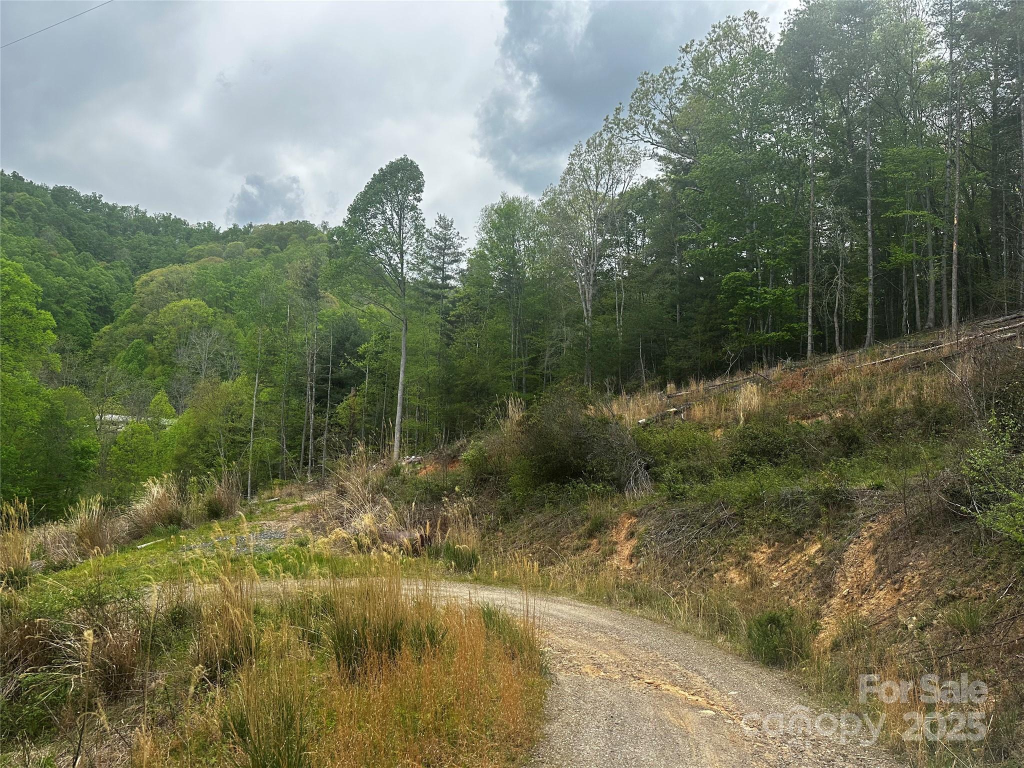 00 Mcpeters Lane Burnsville NC 28714