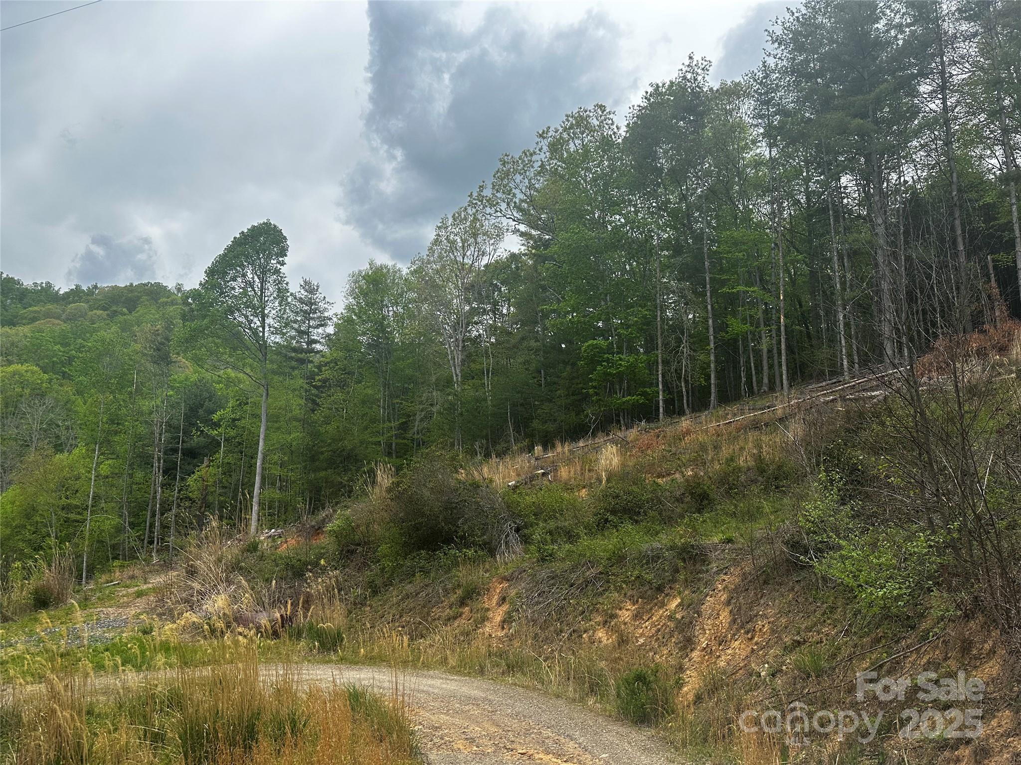 00 Mcpeters Lane Burnsville NC 28714