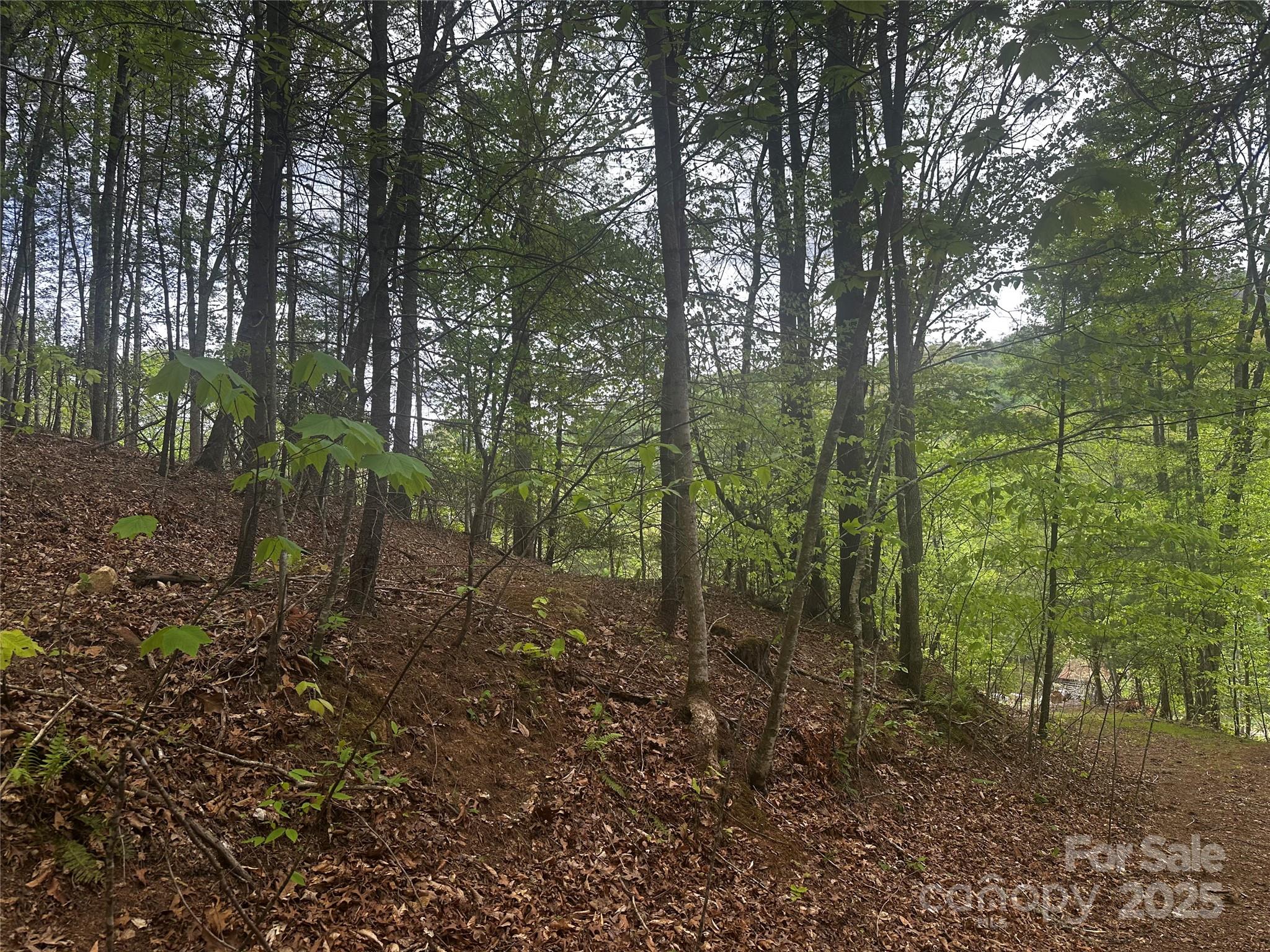 00 Mcpeters Lane Burnsville NC 28714