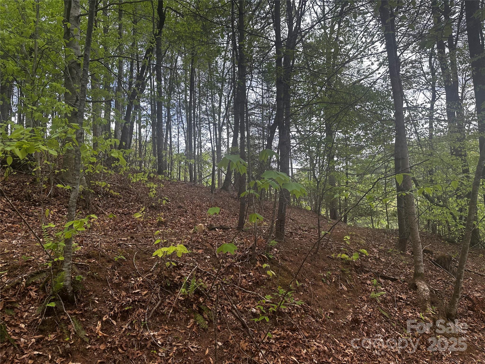 00 Mcpeters Lane Burnsville NC 28714