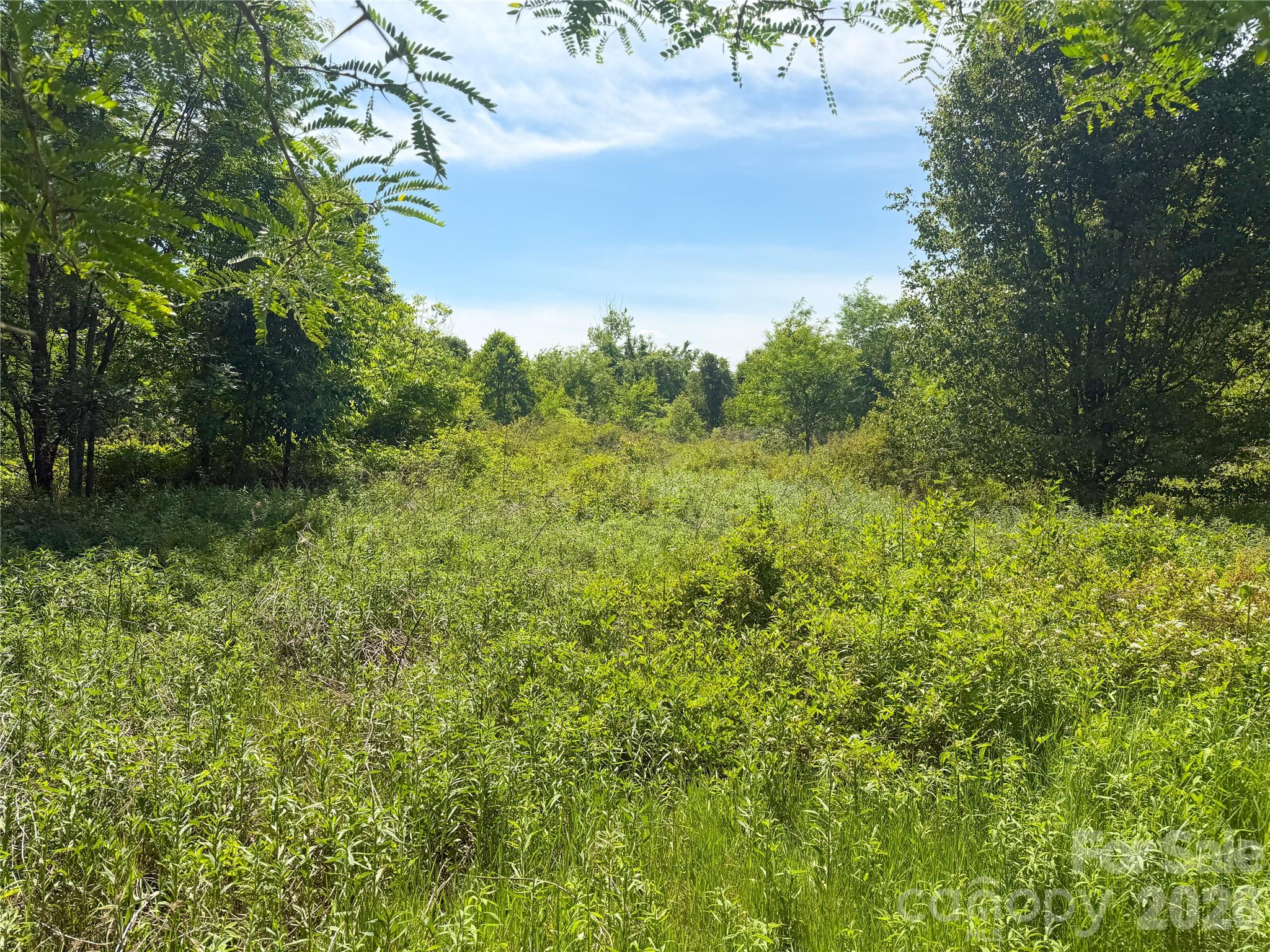 0 Needmore Road Woodleaf NC 27054