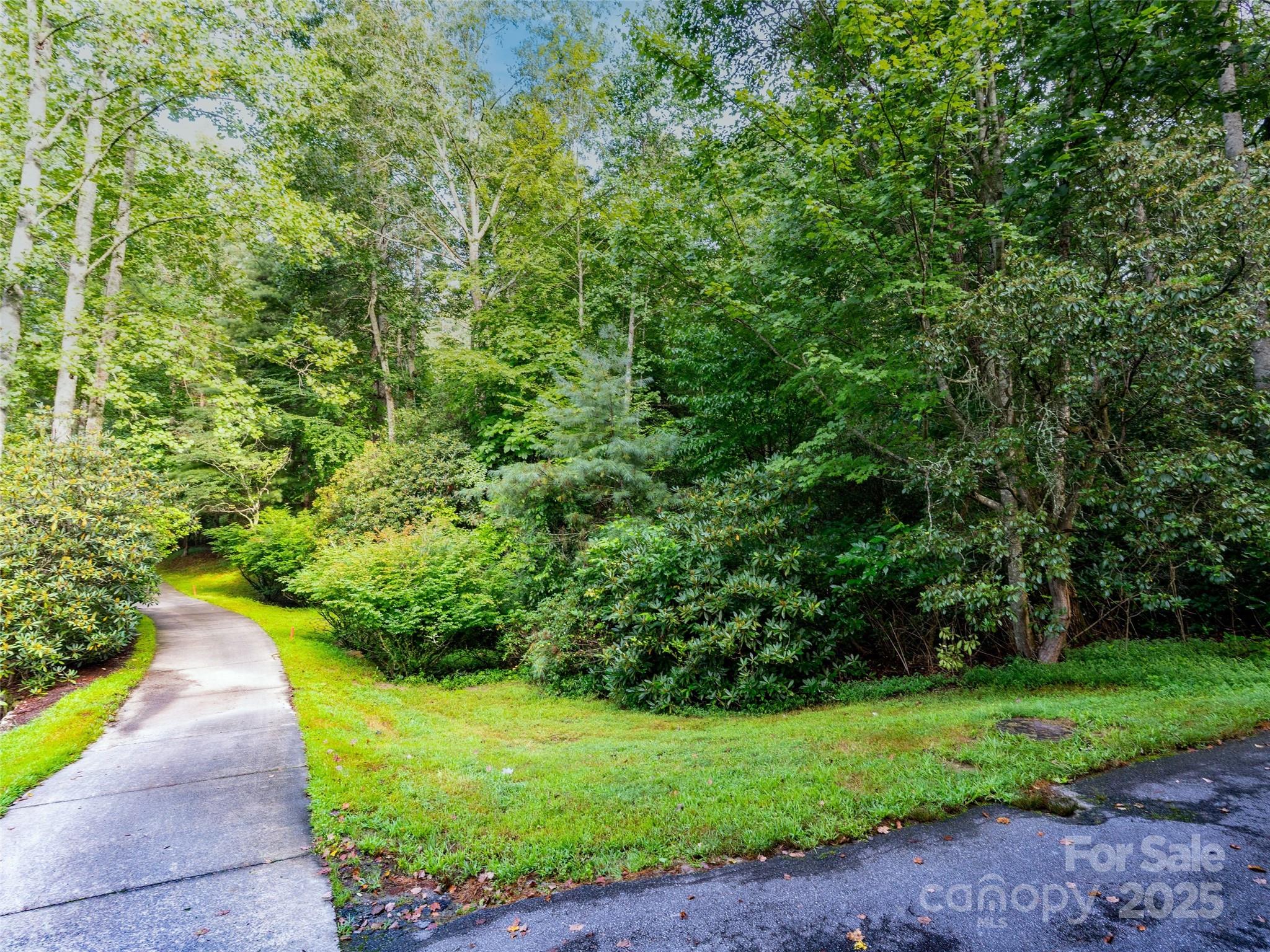 153 Chattooga Run Hendersonville NC 28739