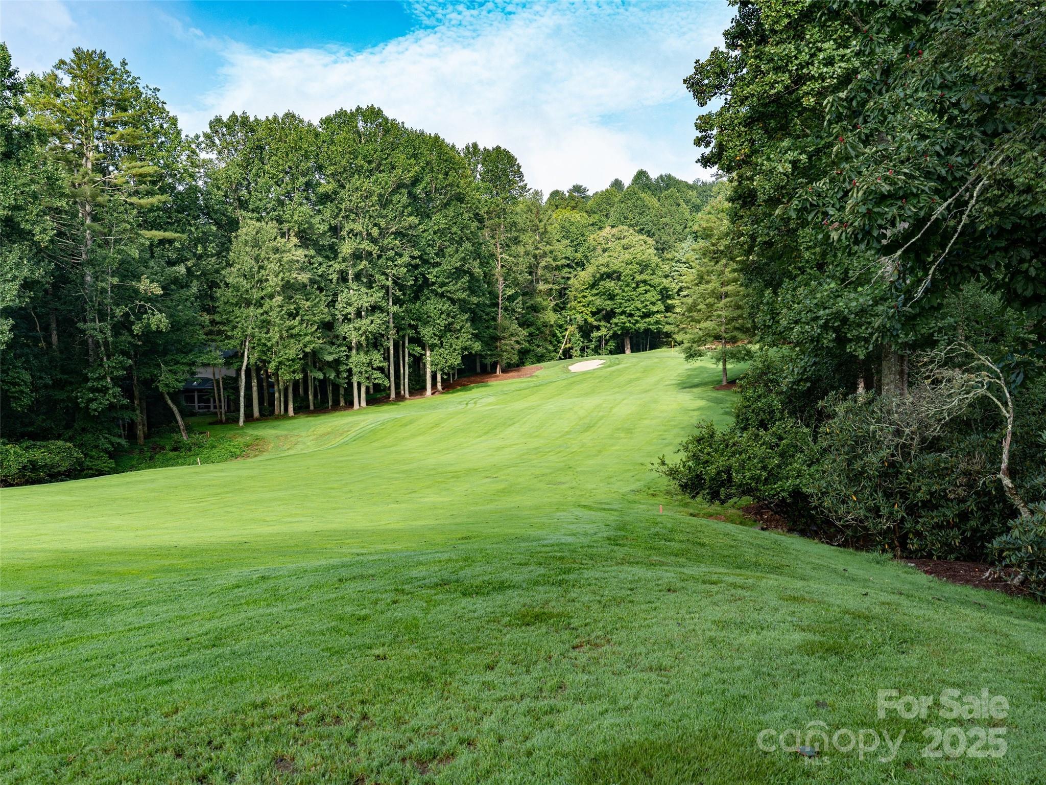 153 Chattooga Run Hendersonville NC 28739