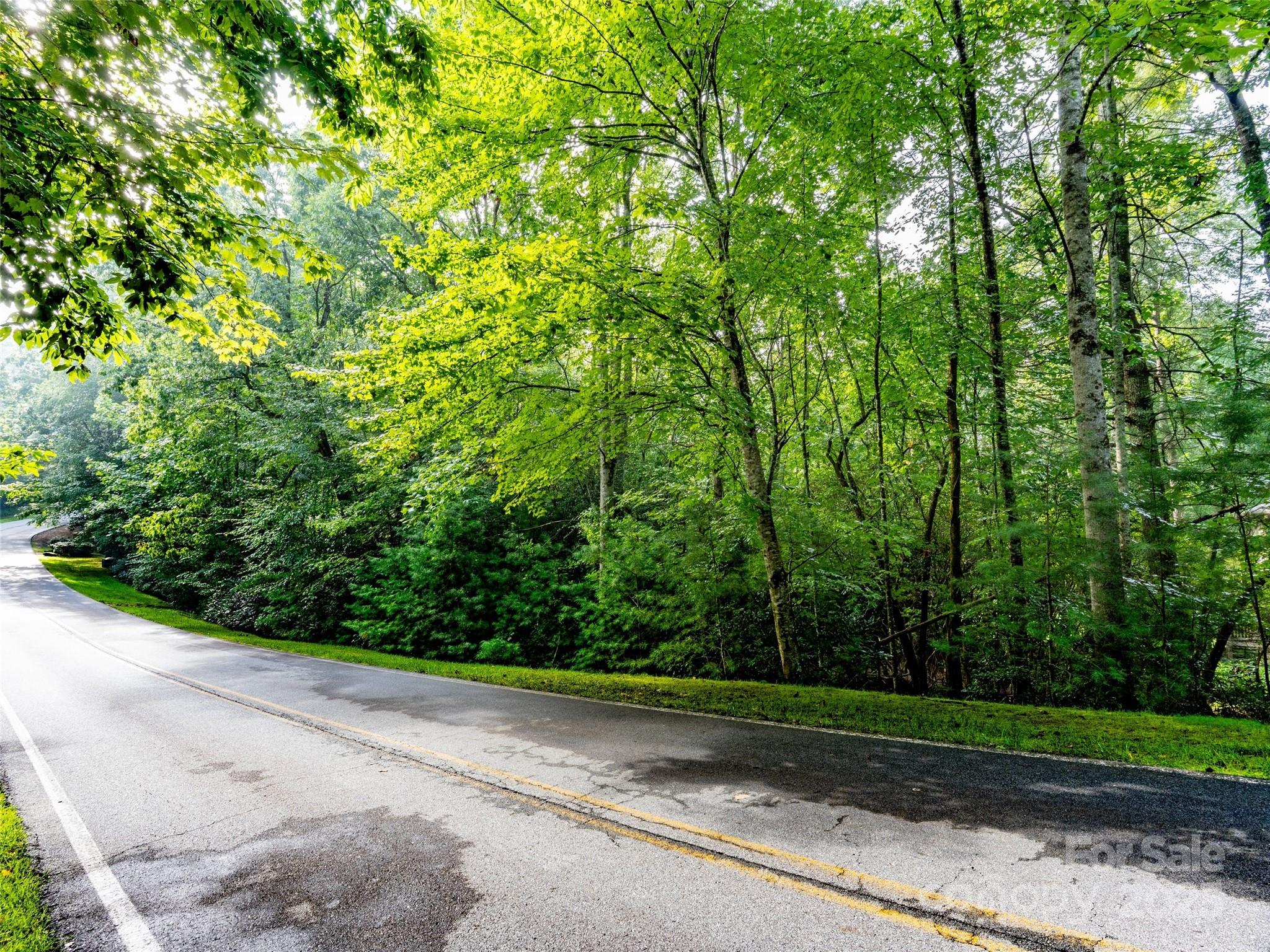 153 Chattooga Run Hendersonville NC 28739