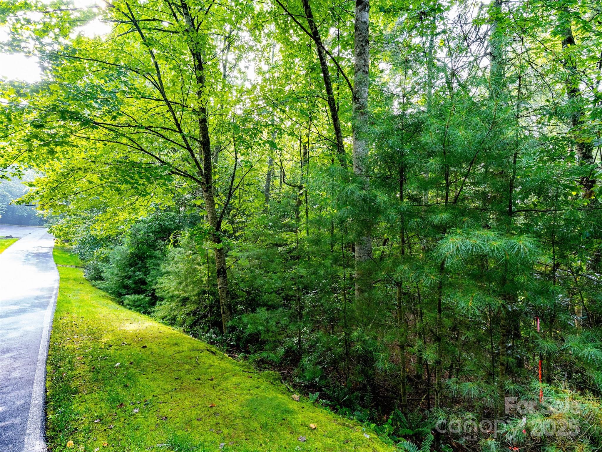 153 Chattooga Run Hendersonville NC 28739