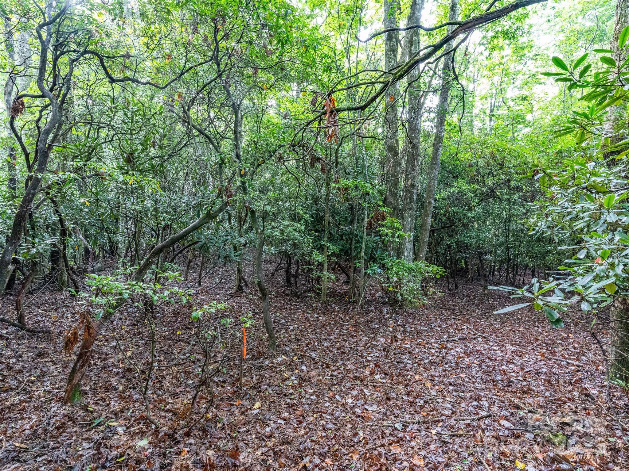 153 Chattooga Run Hendersonville NC 28739