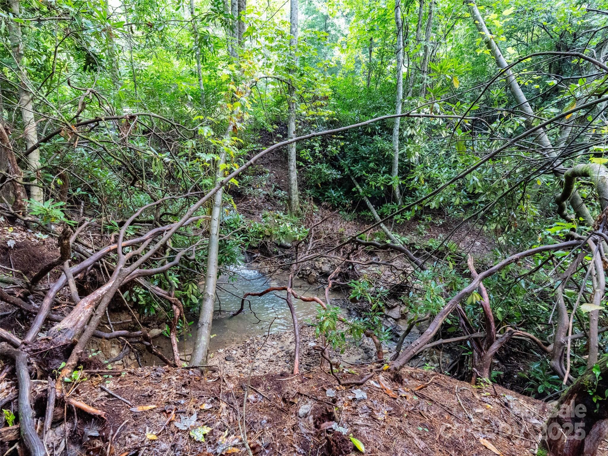 153 Chattooga Run Hendersonville NC 28739