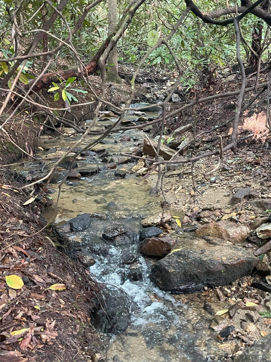 153 Chattooga Run Hendersonville NC 28739