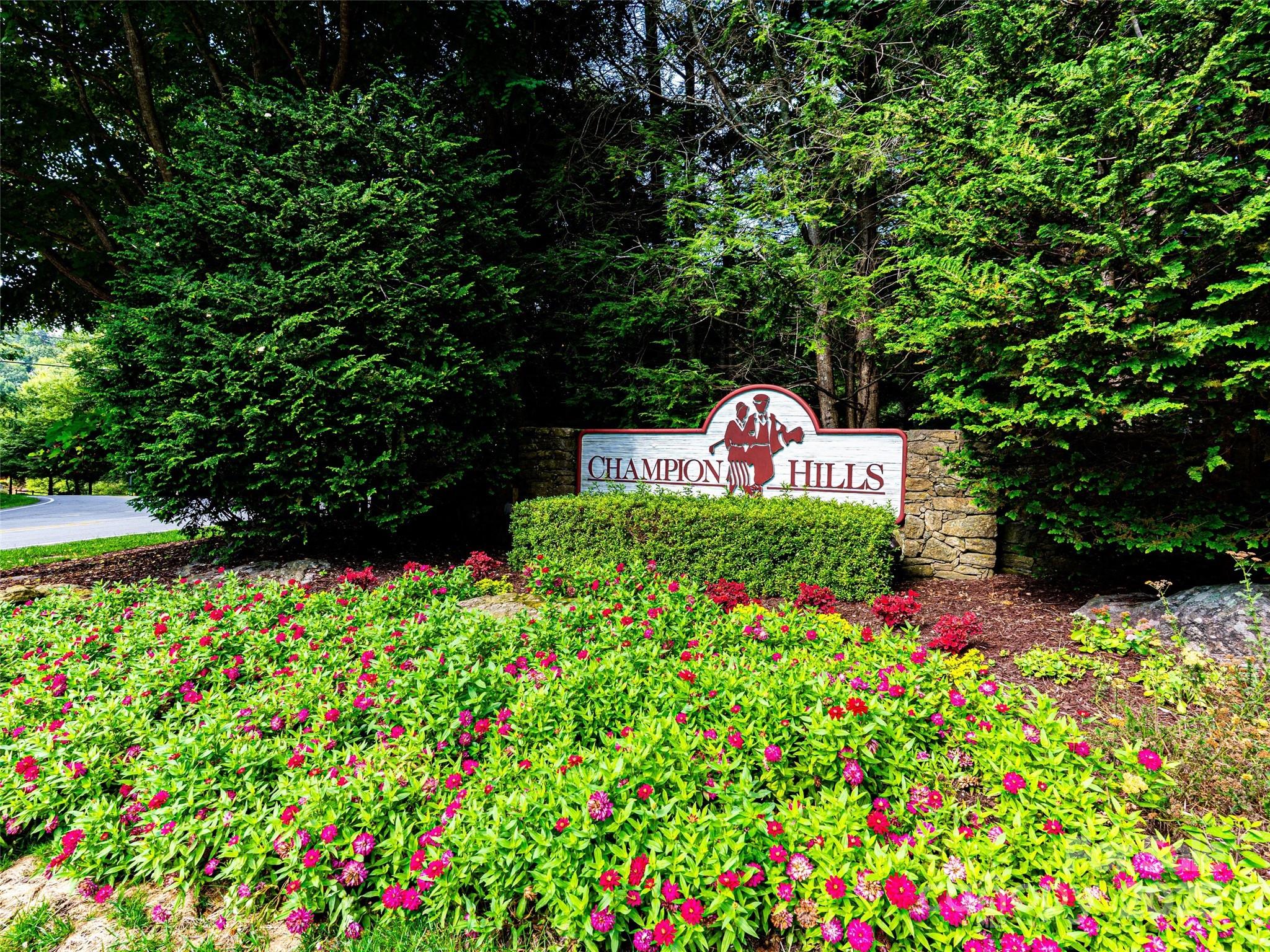 153 Chattooga Run Hendersonville NC 28739