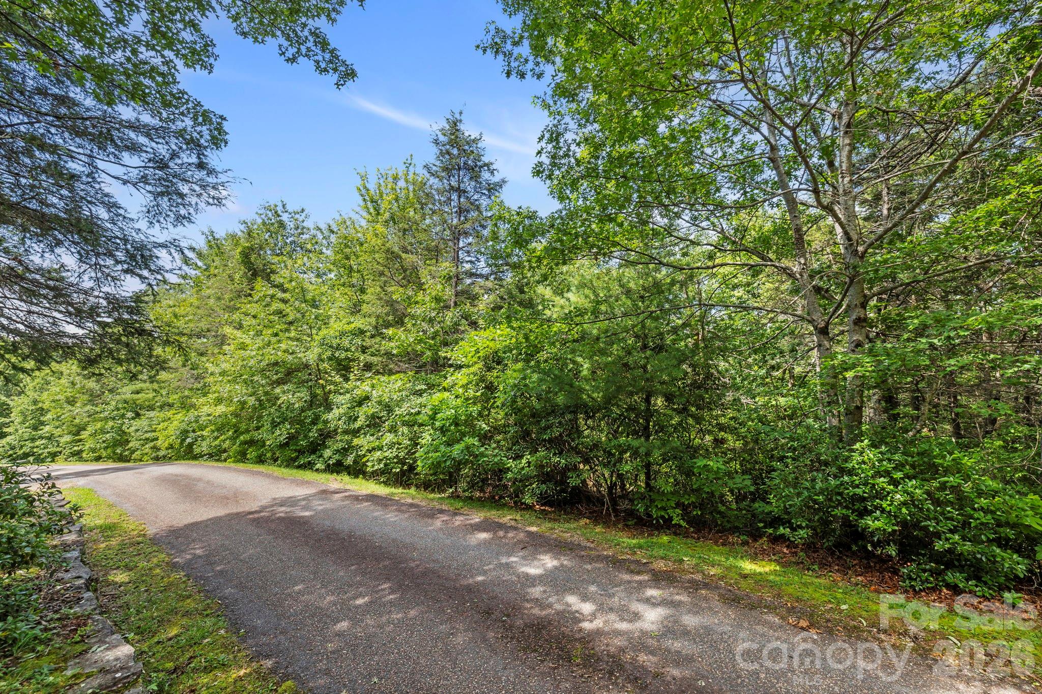 117 Sahalee Trail Hendersonville NC 28739