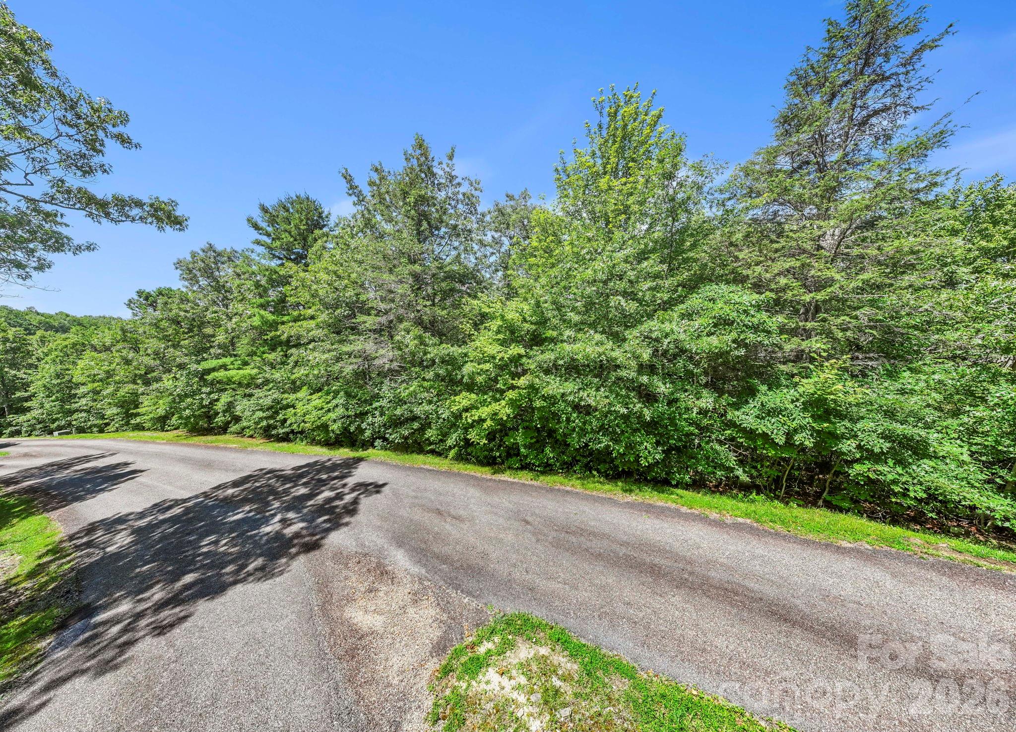 117 Sahalee Trail Hendersonville NC 28739