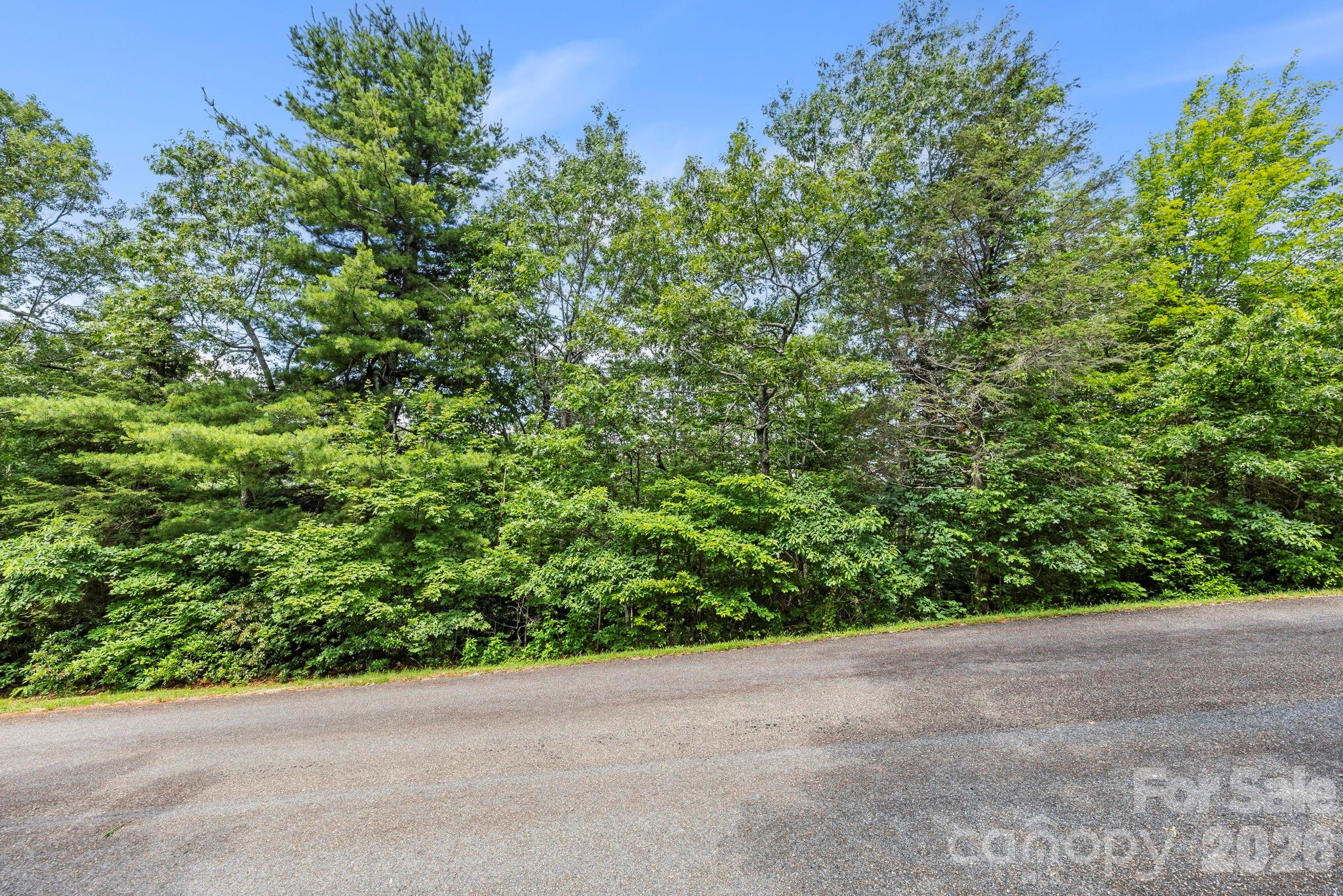 117 Sahalee Trail Hendersonville NC 28739