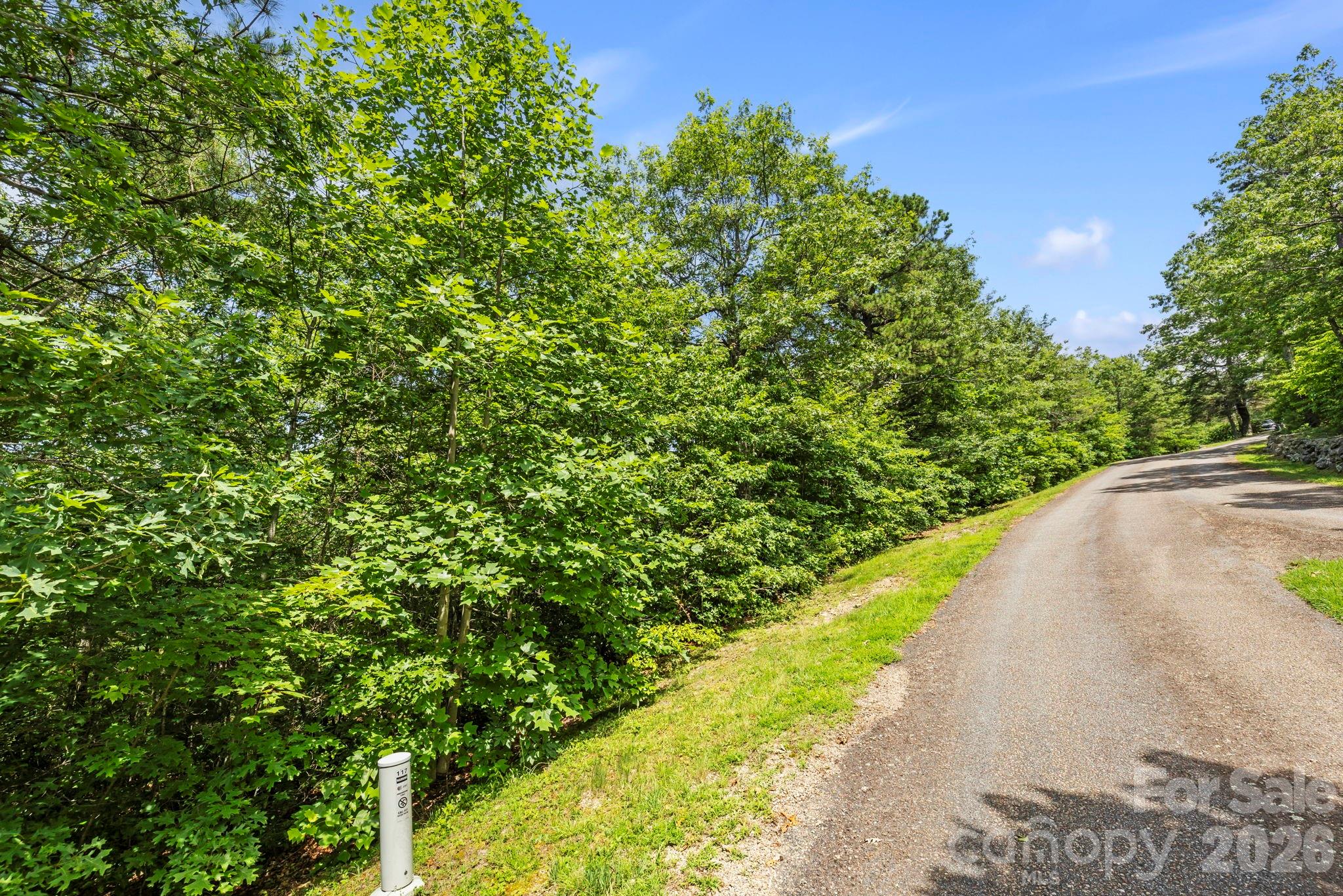 117 Sahalee Trail Hendersonville NC 28739