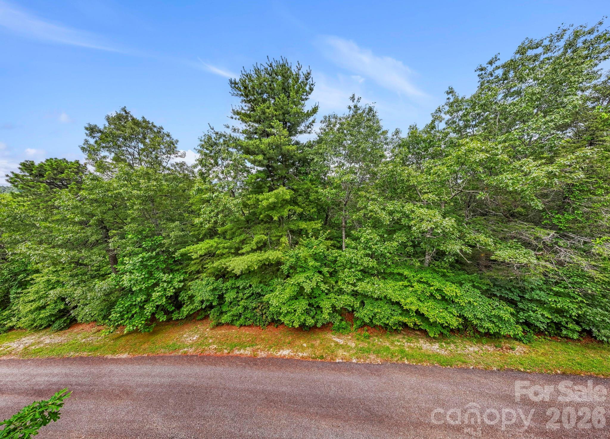 117 Sahalee Trail Hendersonville NC 28739