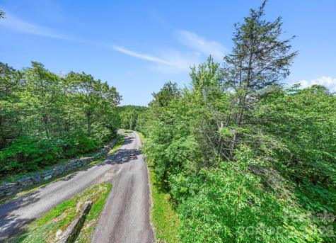 117 Sahalee Trail Hendersonville NC 28739