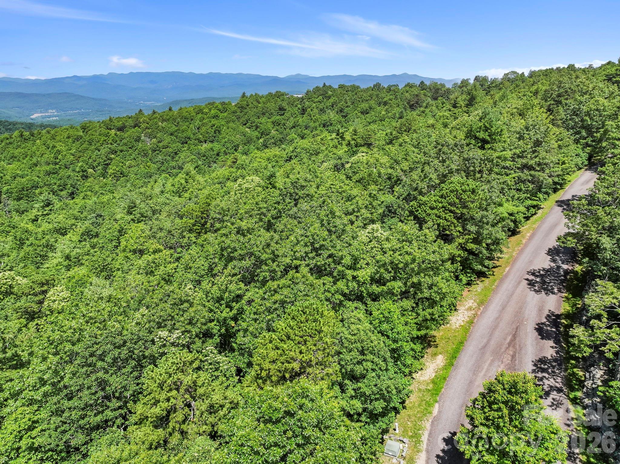 117 Sahalee Trail Hendersonville NC 28739