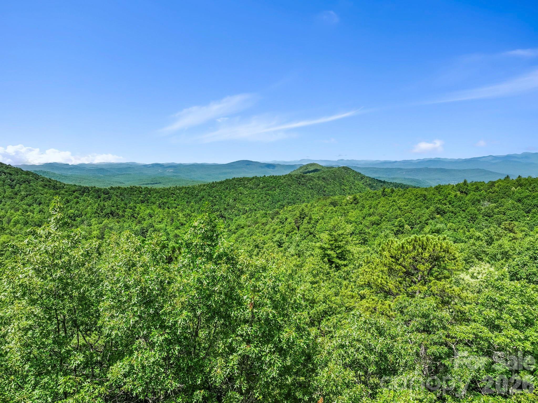 117 Sahalee Trail Hendersonville NC 28739