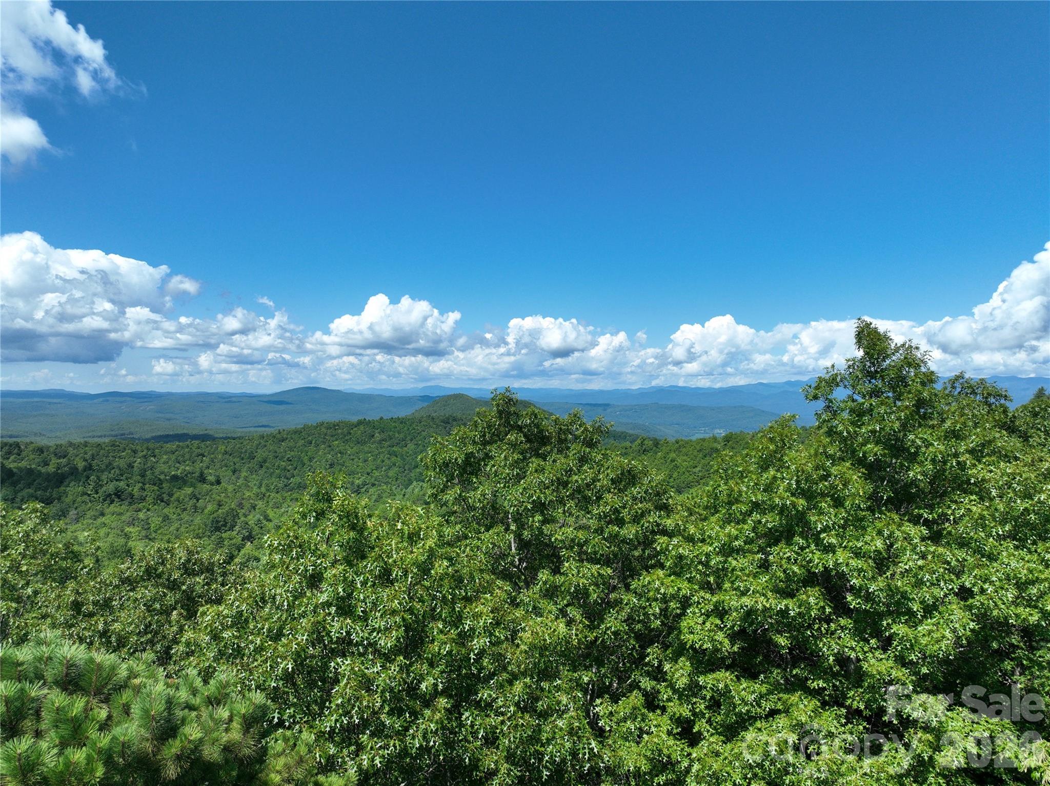117 Sahalee Trail Hendersonville NC 28739