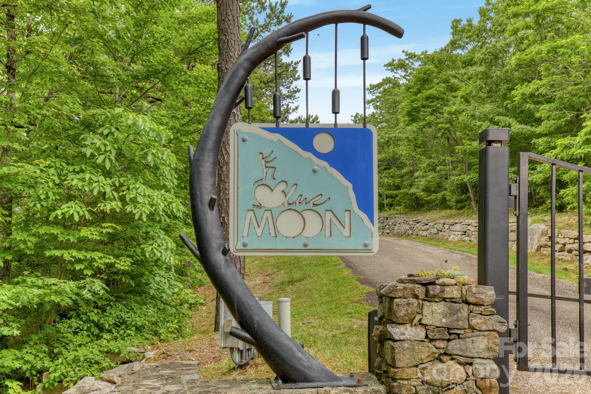117 Sahalee Trail Hendersonville NC 28739