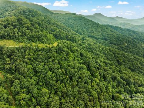 9999 Blue Ridge View Drive Canton NC 28716