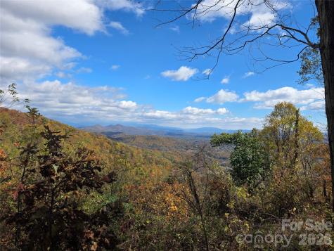 9999 Blue Ridge View Drive Canton NC 28716