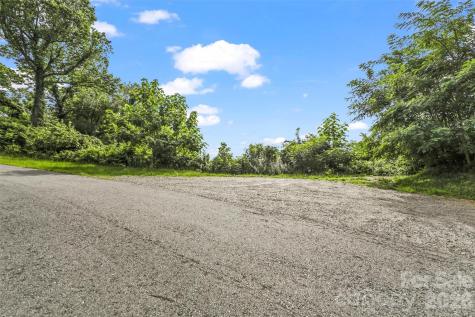 9999 Blue Ridge View Drive Canton NC 28716