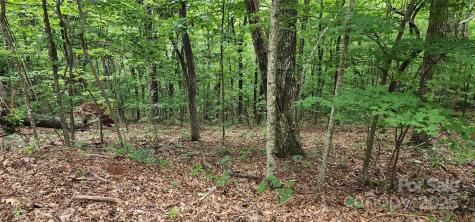 Lot 34 White Oak Mountain Road Columbus NC 28722