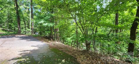 Lot 34 White Oak Mountain Road Columbus NC 28722