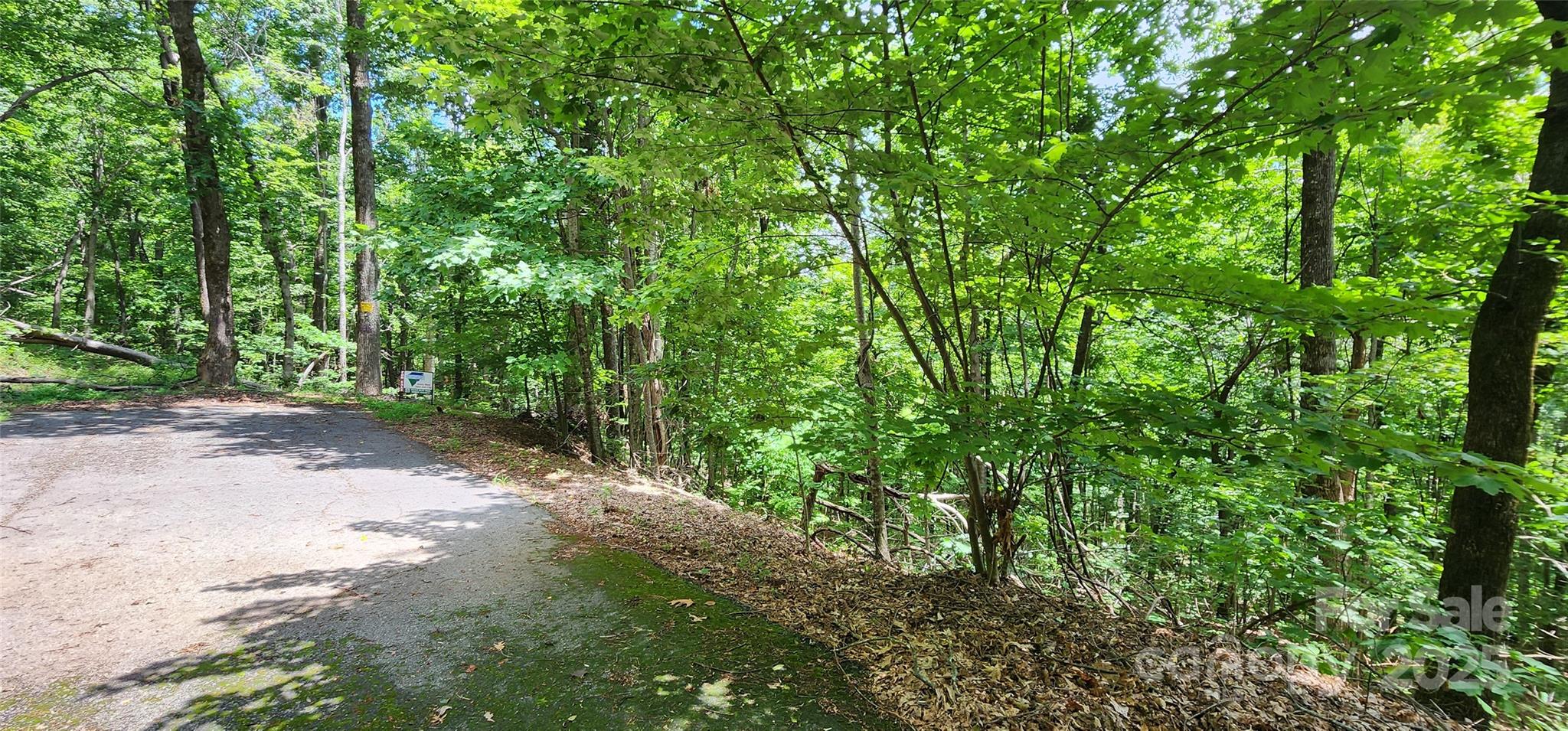 Lot 34 White Oak Mountain Road Columbus NC 28722