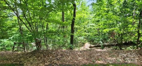 Lot 34 White Oak Mountain Road Columbus NC 28722