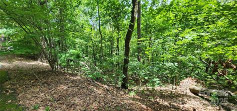 Lot 34 White Oak Mountain Road Columbus NC 28722