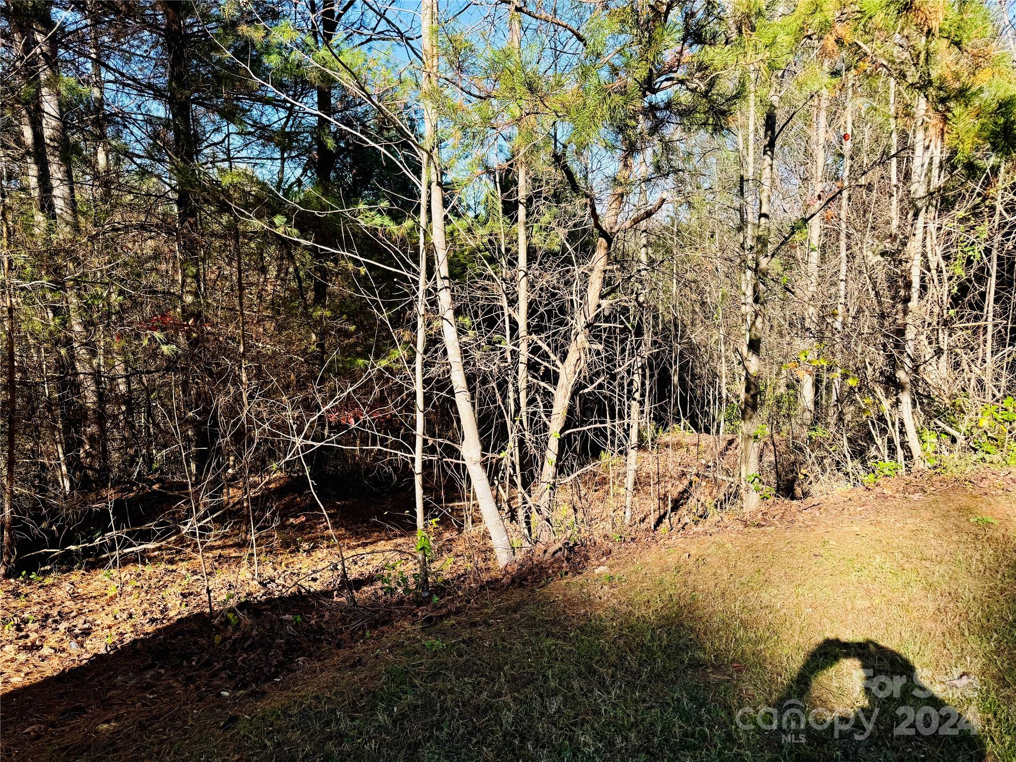 6.09 Acres, Lot 136/137 Johns Ridge Parkway Lenoir NC 28645