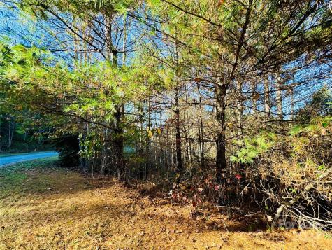 6.09 Acres, Lot 136/137 Johns Ridge Parkway Lenoir NC 28645