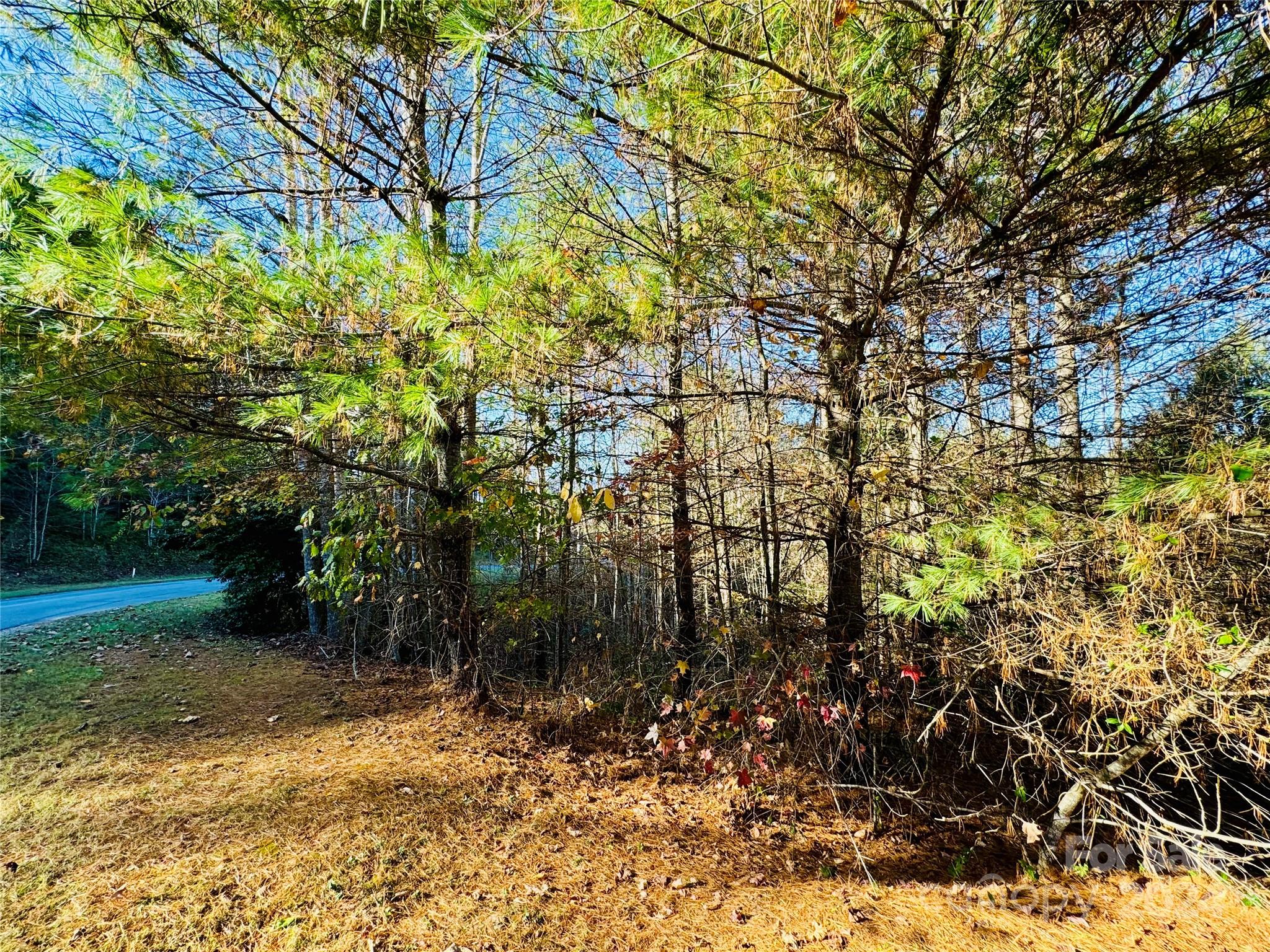 6.09 Acres, Lot 136/137 Johns Ridge Parkway Lenoir NC 28645