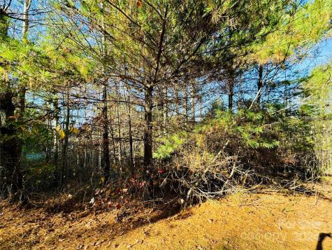 6.09 Acres, Lot 136/137 Johns Ridge Parkway Lenoir NC 28645