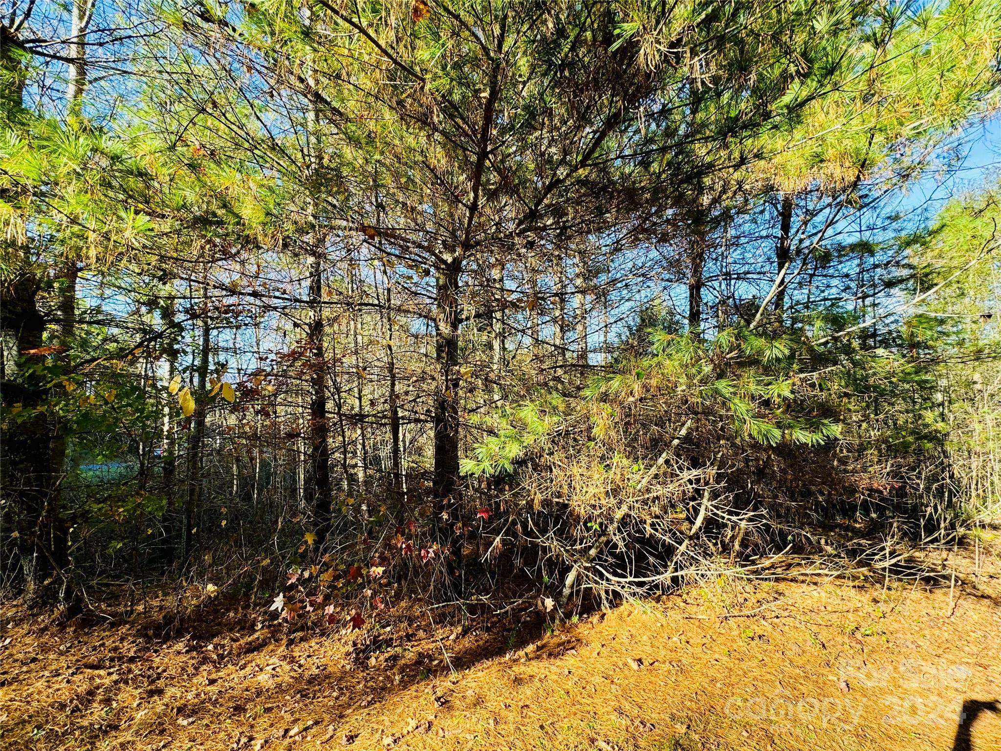 6.09 Acres, Lot 136/137 Johns Ridge Parkway Lenoir NC 28645