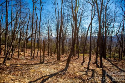 Lot 19 W Whitetail Drive Sapphire NC 28774