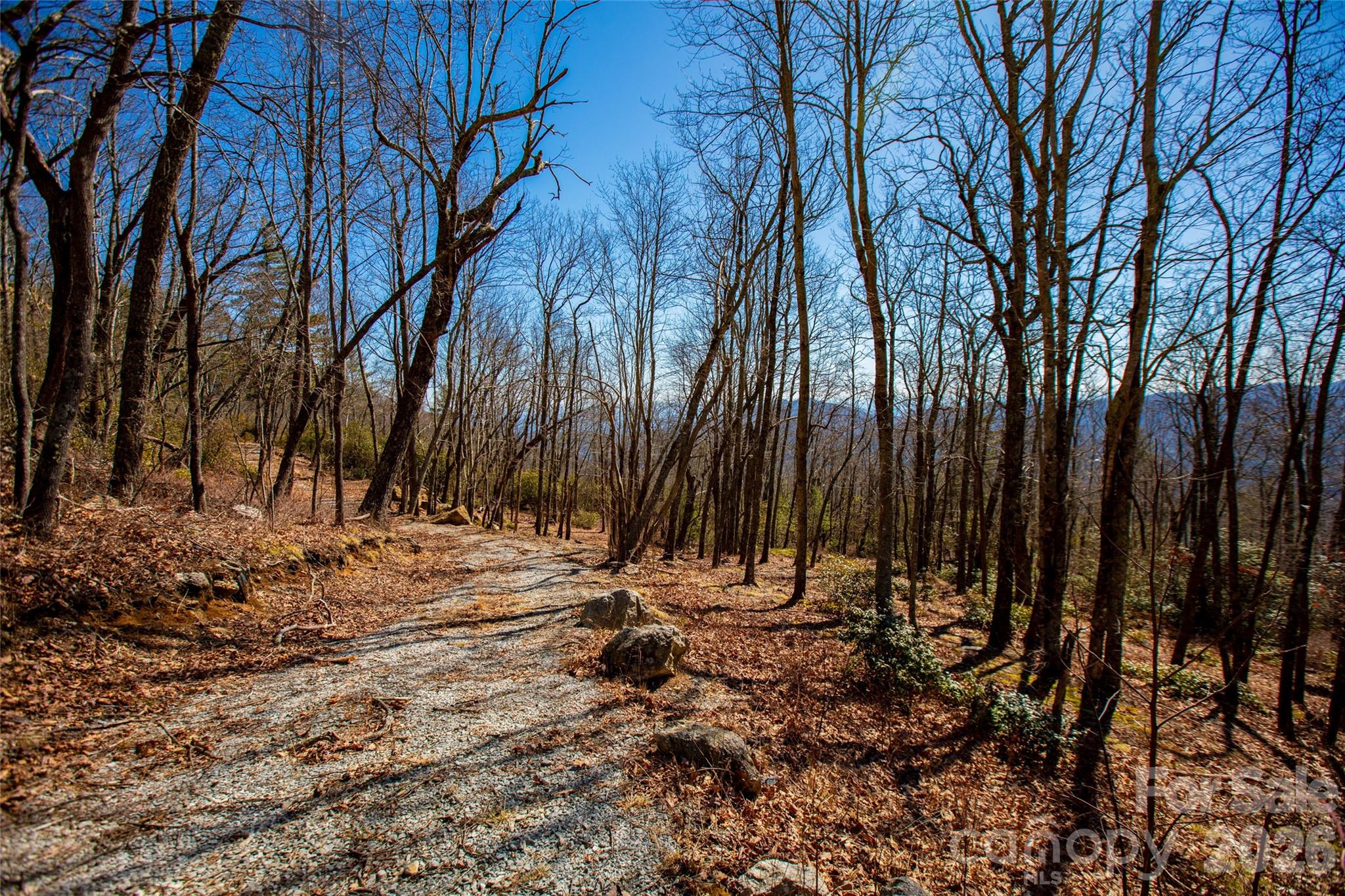 Lot 19 W Whitetail Drive Sapphire NC 28774