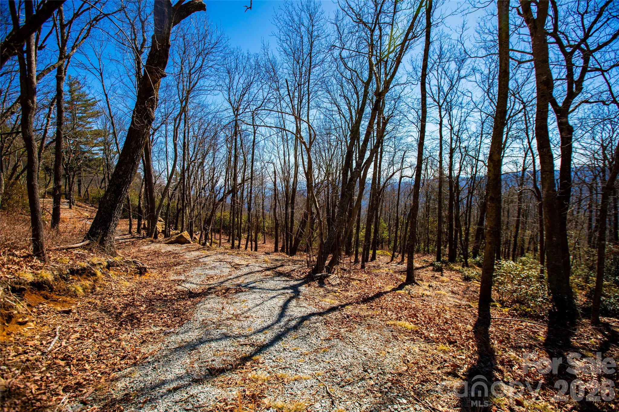Lot 19 W Whitetail Drive Sapphire NC 28774