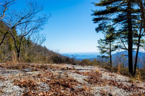 Lot 19 W Whitetail Drive Sapphire NC 28774