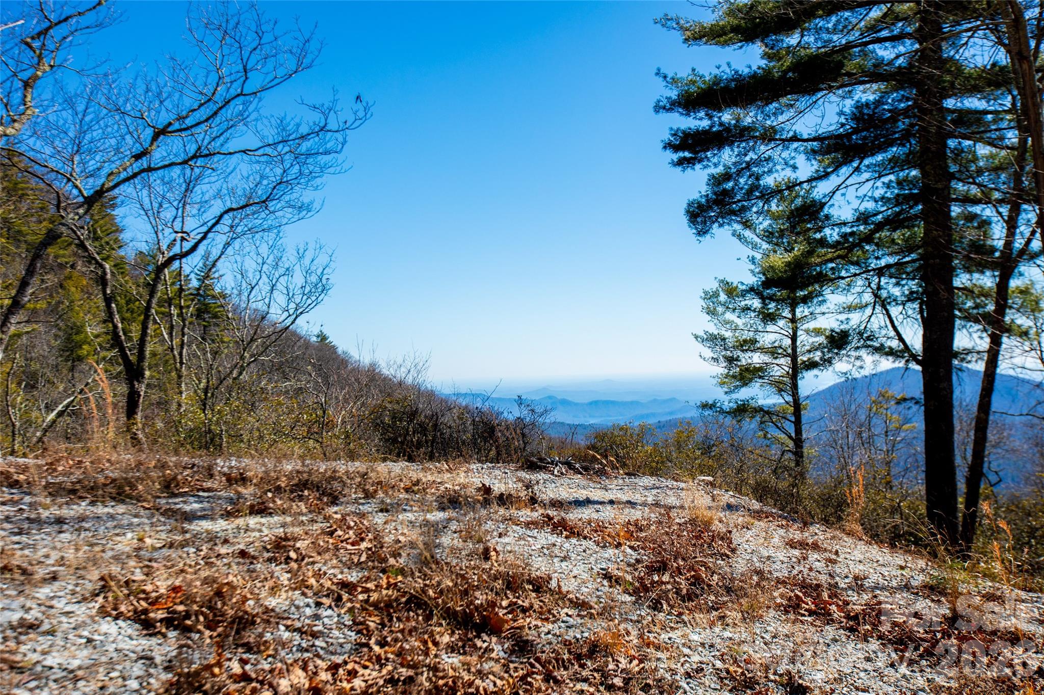 Lot 19 W Whitetail Drive Sapphire NC 28774