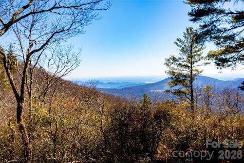 Lot 19 W Whitetail Drive Sapphire NC 28774