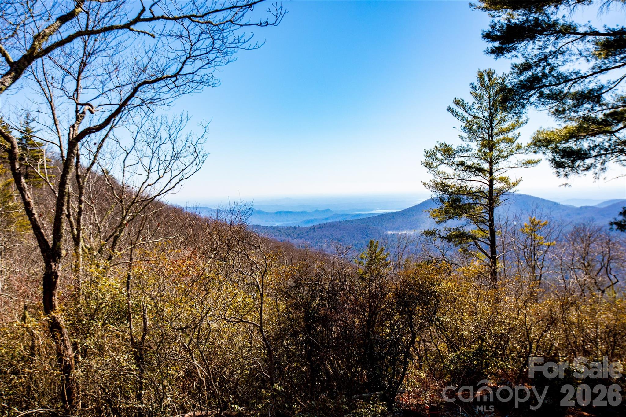 Lot 19 W Whitetail Drive Sapphire NC 28774