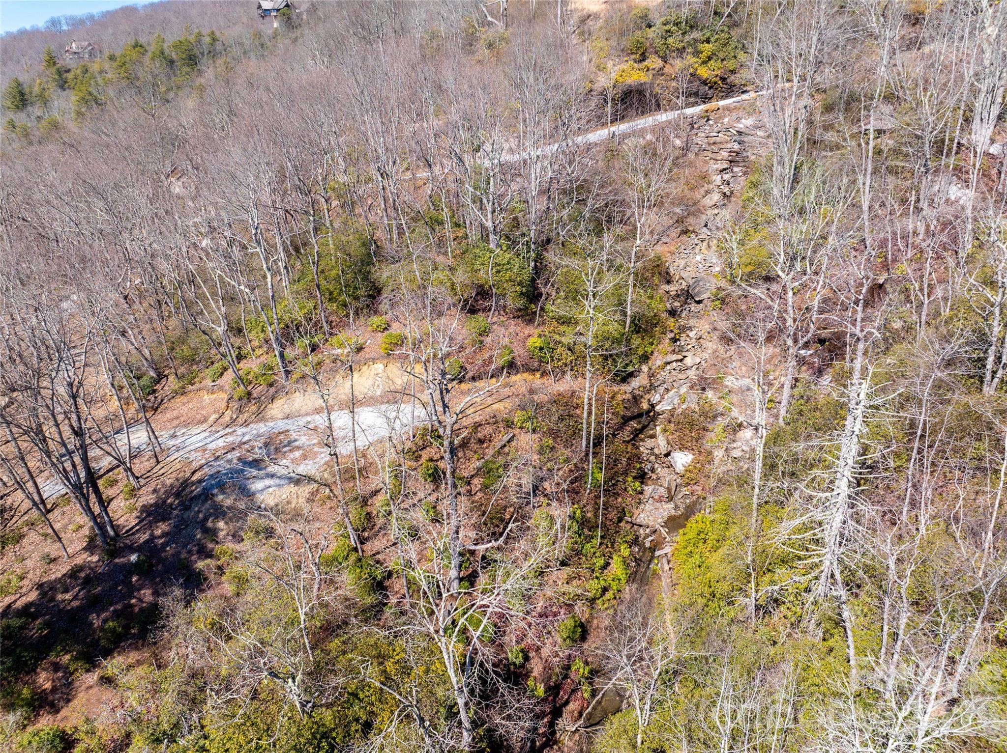 Lot 19 W Whitetail Drive Sapphire NC 28774