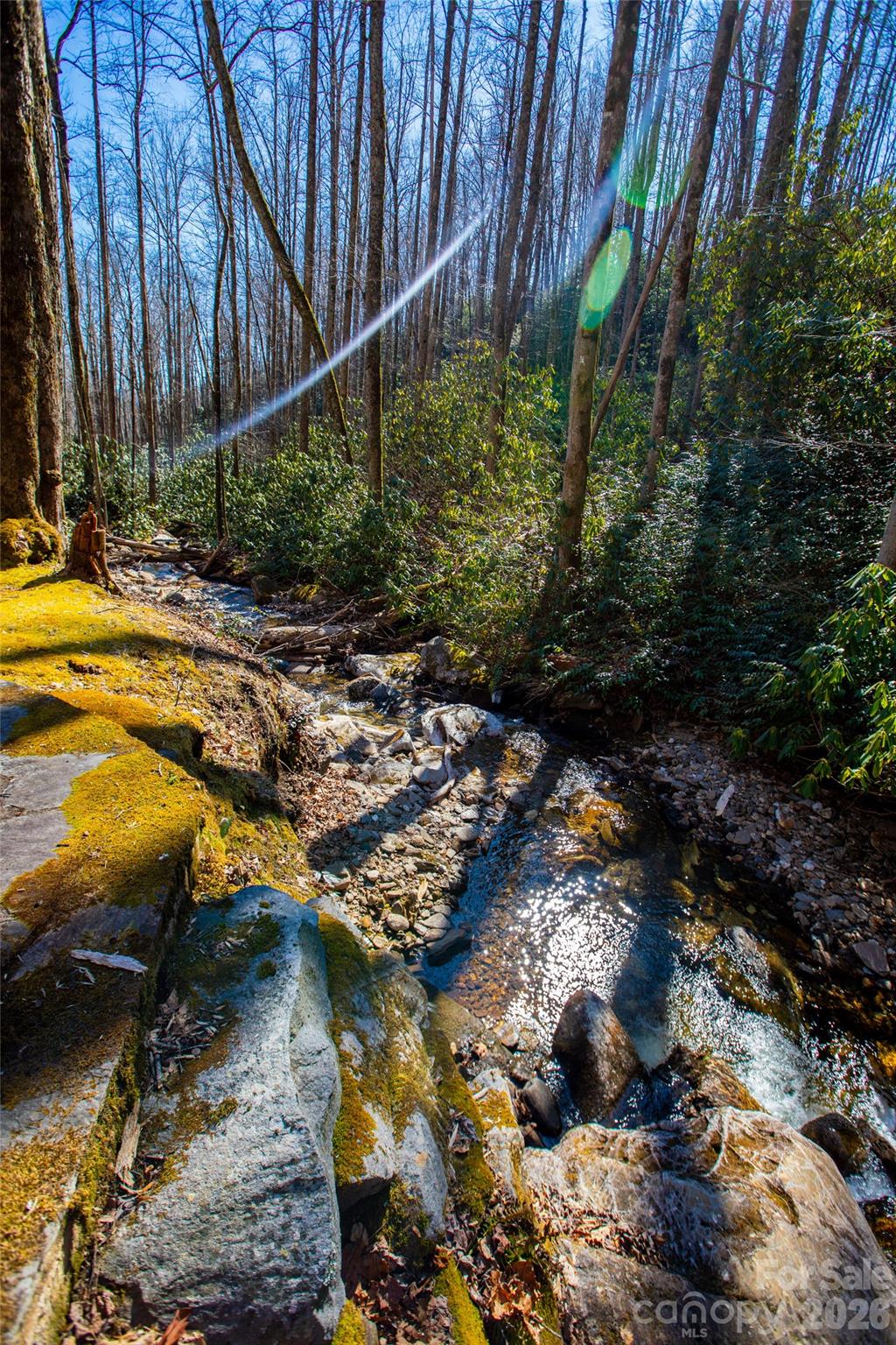 Lot 19 W Whitetail Drive Sapphire NC 28774