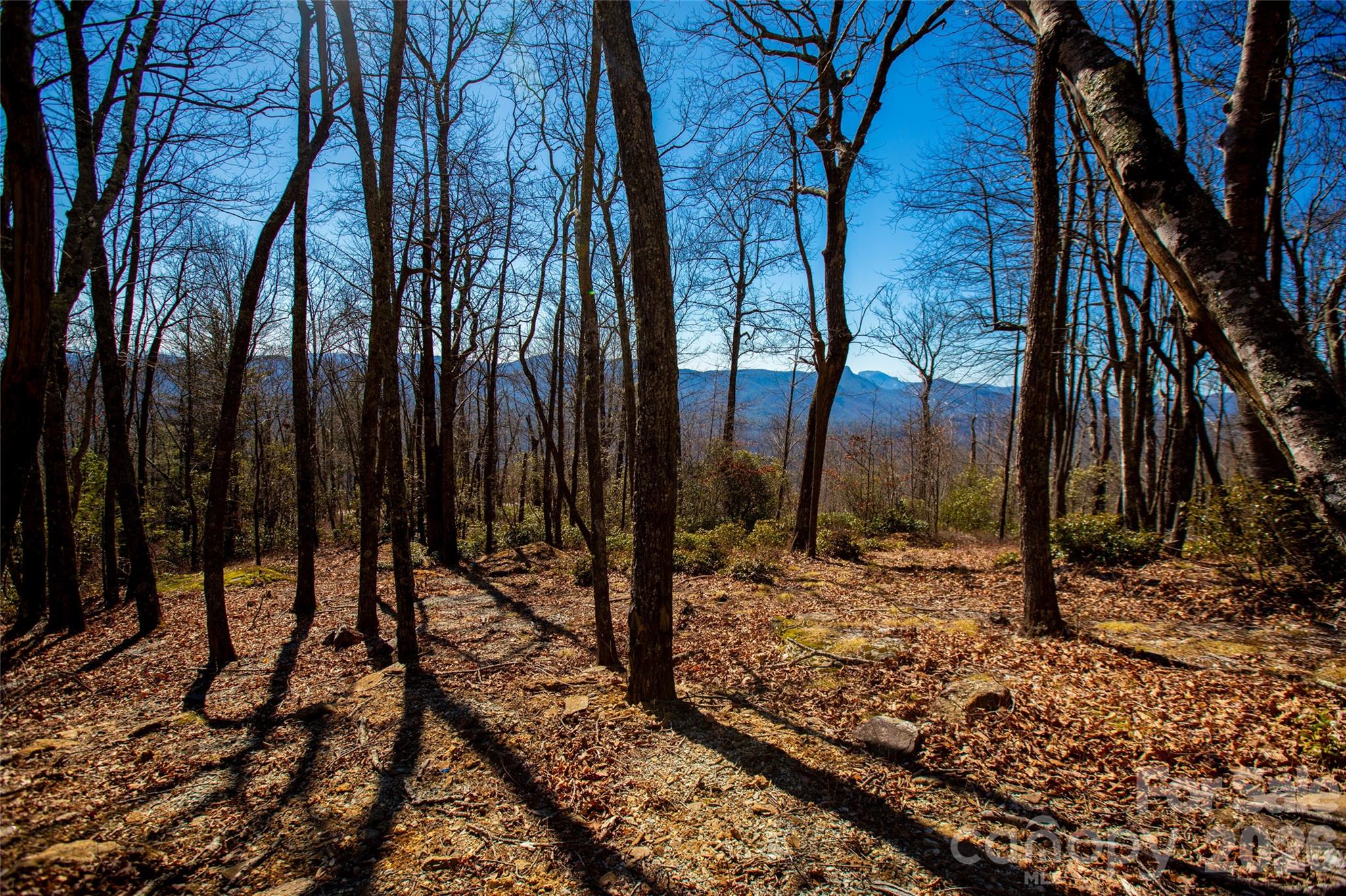 Lot 19 W Whitetail Drive Sapphire NC 28774