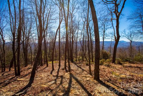 Lot 19 W Whitetail Drive Sapphire NC 28774