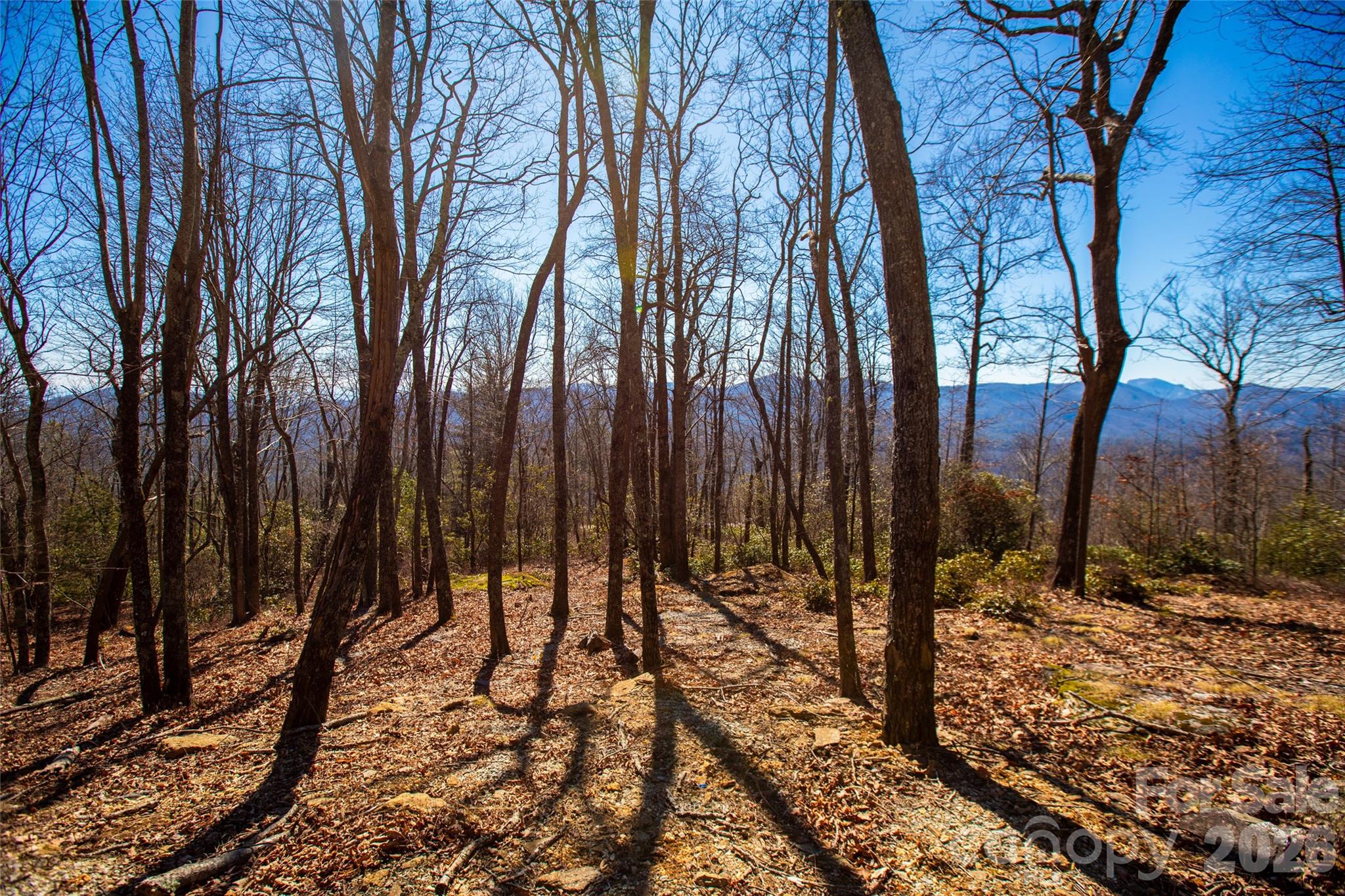 Lot 19 W Whitetail Drive Sapphire NC 28774